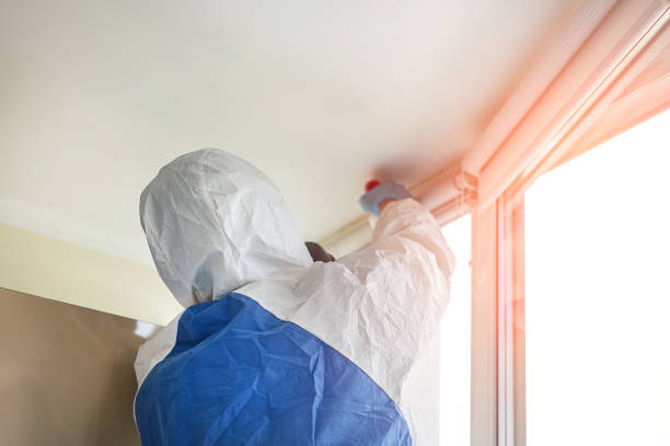 Best Environmental Consulting for Mold Prevention in USA